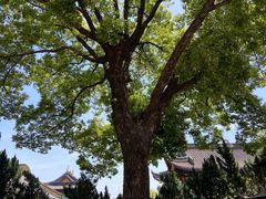 -余姚市灵岩禅寺