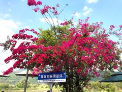 -和顺古镇