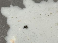 -赵家羊肉羊汤馆(车站总店)