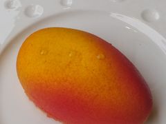 -翠贝卡&Mama Kelly Brunch Coffee(河西店)