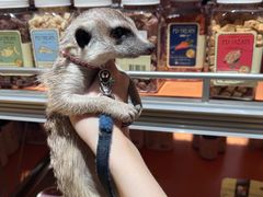 -MARSMART PETS火星宠物超市(1733店)