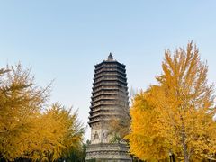 -玲珑塔公园