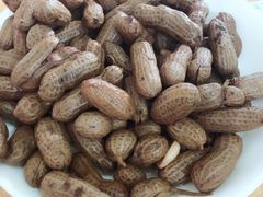 -东吴霸王兔(松青路店)
