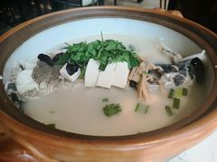 千岛湖招牌鱼头砂锅-姜君·千岛湖鱼头馆(浦东大道店)