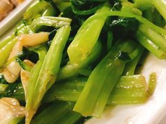 -新陶陶酒家