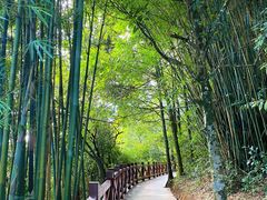 -广州市石门国家森林公园