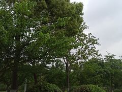 -石湖景区