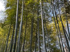 -兰亭风景区