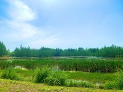 -白鹭湾湿地公园
