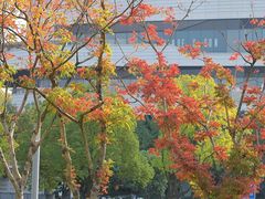 -东方体育中心(地铁站)