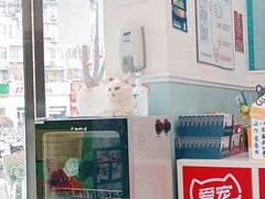 -纳吉亚猫专科动物医院·北北分院