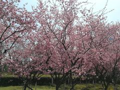 -白塘生态植物园