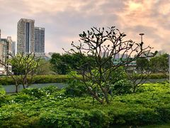 -景山公园