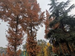 -四川大学(华西校区)