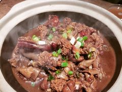 -鸽子窝(青塔店)