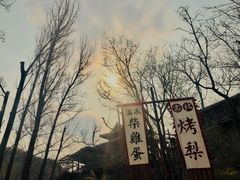 -古北烤梨
