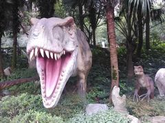 -霸王牛肉(龙湖U城店)