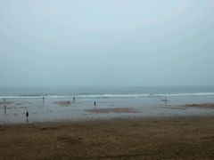 -日照海滨国家森林公园