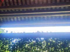 -鹅滋道(甘坑古镇店)