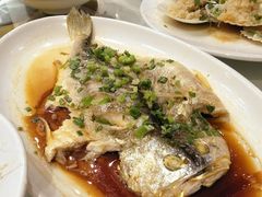 -渔人码头(中南店)
