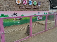 -白马涧龙池景区