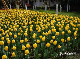 温州的小公园——马鞍池公园