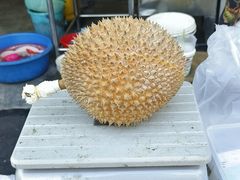 -盒马鲜生(丁香国际店)