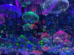 -天津梵高星空艺术馆(天河城旗舰店)