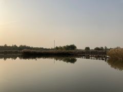 -西青郊野公园