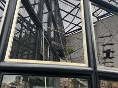 -石排湾郊野公园