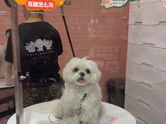 -FAELING PETS美天灵宠物(合生汇店)