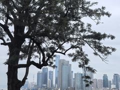 -八卦楼风琴博物馆