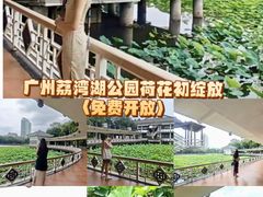 -荔湾湖公园