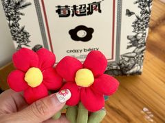 -莓超疯(百源店)