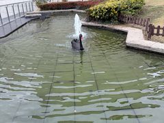 -行者书屋大堂吧 ·下午茶(南京圣和府邸酒店)