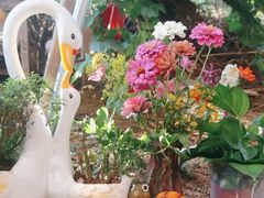 -鱼乐岛餐厅·户外花园主题餐厅