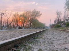 -永定河休闲森林公园