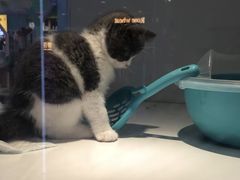 -龟与熊猫宠物公园(南坪店)