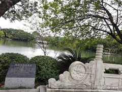 -桂林市榕杉湖景区