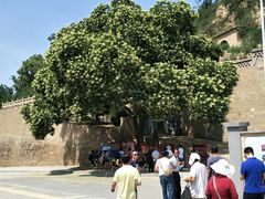 -延安杨家岭革命旧址