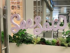 -Seesaw Coffee(武商MALL·武广店)