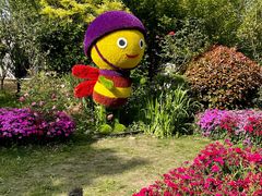 -鹅湖玫瑰文化园