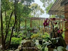 -谷咖啡·鲜花绿植花园餐厅