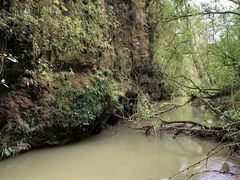 -怀托摩萤火虫洞