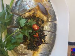 -苏大嘴蒸汽海鲜·海胆蒸饺(中山广场店)