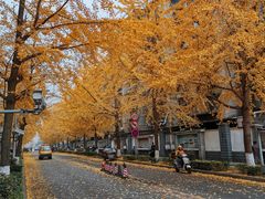 -四川大学(望江校区)