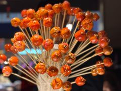 -许家菜(DT51店)
