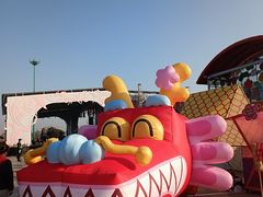 -荷兰花海