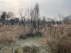 -西湖风景区-江洋畈生态公园