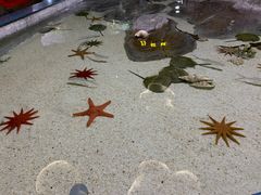 -福州罗源湾海洋世界旅游区